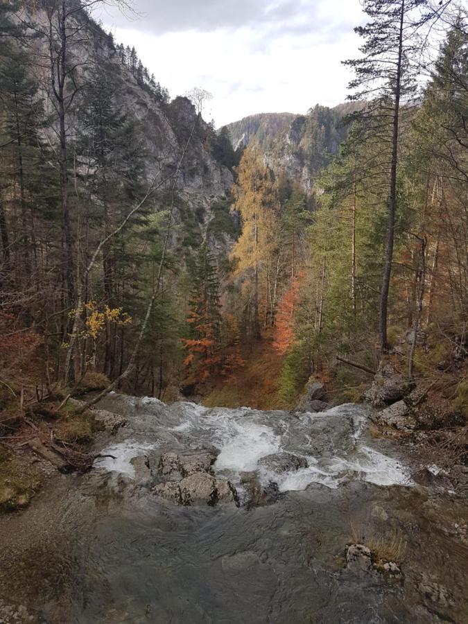 Apartment Mariazell Buergeralpe Bagian luar foto